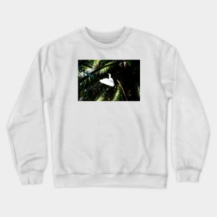 Grus Crewneck Sweatshirt